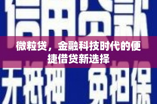 田寮微粒贷，金融科技时代的便捷借贷新选择