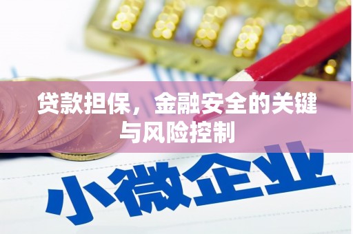 田寮贷款担保，金融安全的关键与风险控制