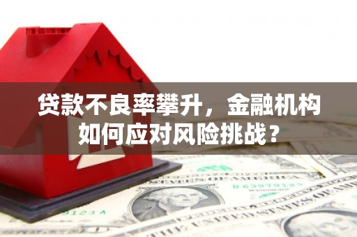 田寮贷款不良率攀升，金融机构如何应对风险挑战？