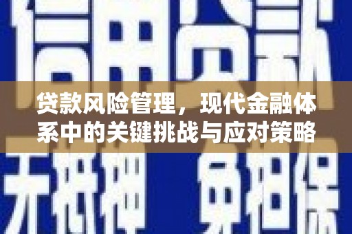 田寮贷款风险管理，现代金融体系中的关键挑战与应对策略