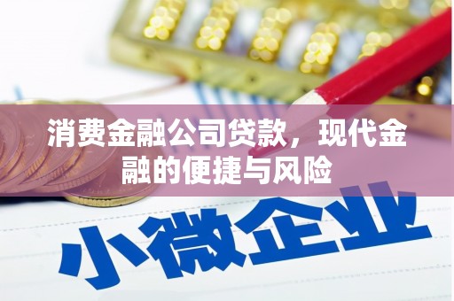 田寮消费金融公司贷款，现代金融的便捷与风险