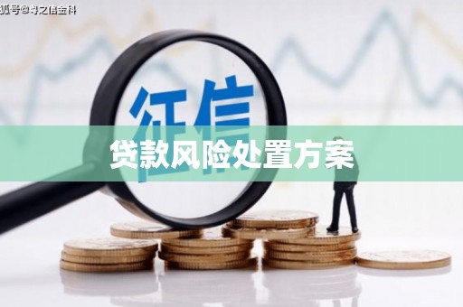 田寮贷款风险处置方案