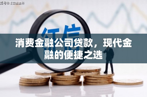 田寮消费金融公司贷款，现代金融的便捷之选