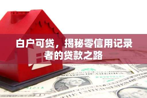 田寮白户可贷，揭秘零信用记录者的贷款之路